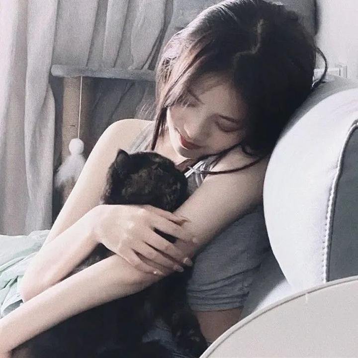 派特森与芬达猫